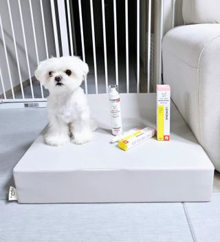 꼬꼬여왕님이 올린 리뷰 사진 1
