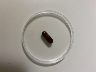 프리마인 홍삼의 강력한 에너지, 이제는 흡수율을 높인 최첨단 캡슐로 간편하게 초고속 충전하세요. — 4.5점을 준 리뷰어가 2022년 6월 올린 사용 사진