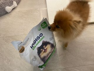 얄라리숑님이 올린 리뷰 사진 4