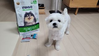 쏘이님이 올린 리뷰 사진 2