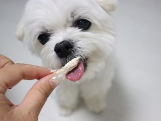 송린깡님이 올린 리뷰 사진 3