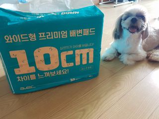 아베크 펫 와이드 프리미엄 대형 애견 강아지 배변 패드 30매 1팩 80g — 5점을 준 리뷰어가 2021년 7월 올린 사용 사진