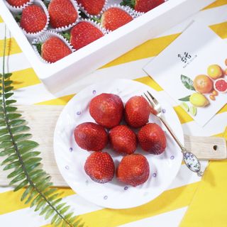 옳음 딸기 논산 설향 딸기 900g 산지직송 — 5점을 준 리뷰어가 2021년 2월 올린 사용 사진