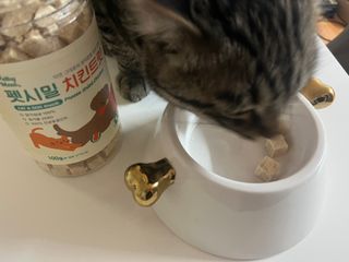 [펫시밀] 원물그대로 영양듬뿍 진공동결건조 북어트릿75g,치킨트릿100g,연어트릿75g 강아지 고양이 간식 — 5점을 준 리뷰어가 2023년 6월 올린 사용 사진