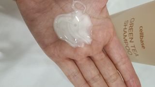 프리마인 더이상 뻣뻣하고 효과없는 탈모샴푸는 NO. 근본부터 케어하는 셀베이스 그린티샴푸(500ml) — 5점을 준 리뷰어가 2023년 1월 올린 사용 사진