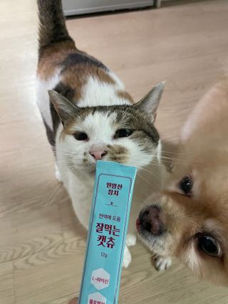 페페로니 잘 먹는 캣츄 - 원양선 참치 24개입 — 5점을 준 리뷰어가 2021년 10월 올린 사용 사진
