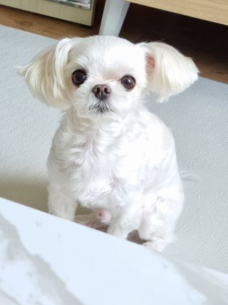 제잉님이 올린 리뷰 사진 2