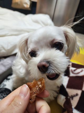 쏭쏭님이 올린 리뷰 사진 3