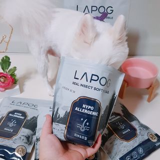 [푸디웜] 라포그 리얼인섹트 소프트키블 스킨 1KG — 5점을 준 리뷰어가 2022년 9월 올린 사용 사진