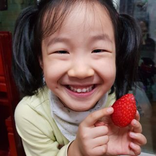 옳음 딸기 논산 설향 딸기 900g 산지직송 — 5점을 준 리뷰어가 2021년 1월 올린 사용 사진