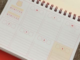 리훈 곰부 세우는 체크리스트 위클리 탁상 플래너 주간 일주일 계획표 — 5점을 준 리뷰어가 2023년 2월 올린 사용 사진