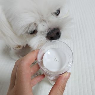 whol 키토클린 200ml - 항균항바이러스 강아지 눈 코 입 귀 세정탈취 고양이 턱드름제거 무향 워터리스 대용량 — 5점을 준 리뷰어가 2022년 10월 올린 사용 사진