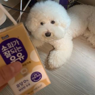 소화가 잘되는 우유 국산 5곡 미숫가루 — 5점을 준 리뷰어가 2021년 9월 올린 사용 사진