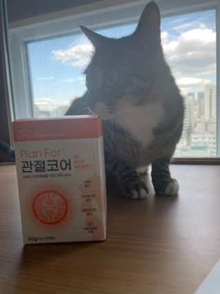 냐옹아냐옹해봐님이 올린 리뷰 사진 3