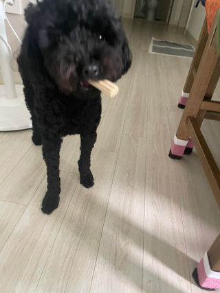져니님이 올린 리뷰 사진 2