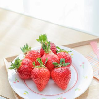 옳음 딸기 논산 설향 딸기 900g 산지직송 — 5점을 준 리뷰어가 2021년 2월 올린 사용 사진
