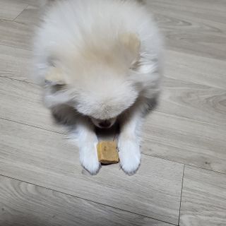 명샘님이 올린 리뷰 사진 1