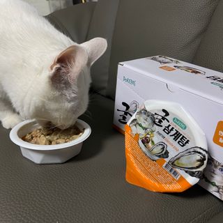 진만두님이 올린 리뷰 사진 2