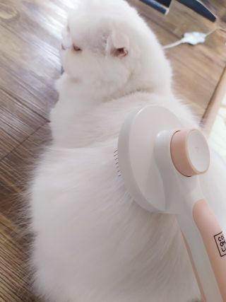 좋아님이 올린 리뷰 사진 3