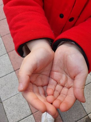 sebly님이 올린 리뷰 사진 4