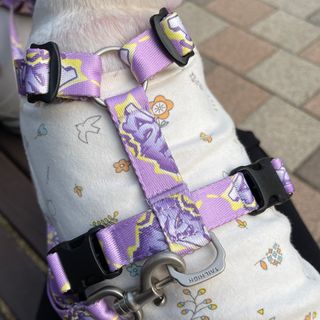 꿍언니님이 올린 리뷰 사진 2