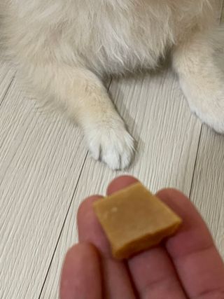 까눌렝님이 올린 리뷰 사진 3