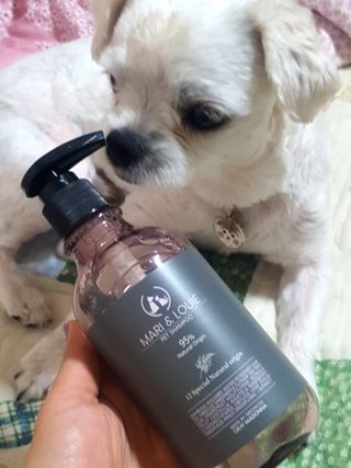 마리앤루이펫샴푸 [mari and louie pet shampoo] — 5점을 준 리뷰어가 2021년 6월 올린 사용 사진