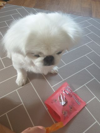 페키아름님이 올린 리뷰 사진 3