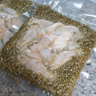 로즈아이님이 올린 리뷰 사진 4