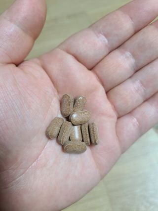 슬림플래닛 녹차카테킨 500mg 애프터밀 — 5점을 준 리뷰어가 2021년 2월 올린 사용 사진