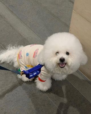윤긍정님이 올린 리뷰 사진 1