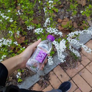 몽베스트 [MONTBEST] 330mL 20병 — 5점을 준 리뷰어가 2022년 4월 올린 사용 사진