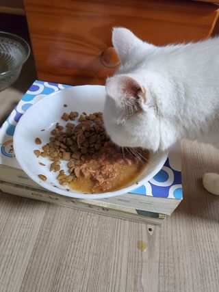 김다솜님이 올린 리뷰 사진 3