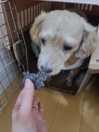 하승님이 올린 리뷰 사진 4