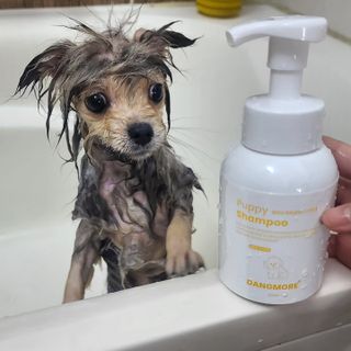 이선영님이 올린 리뷰 사진 1