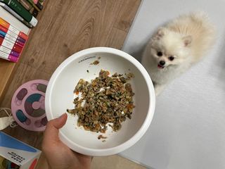 씽크라이크펫 강아지 화식 (50g 소/닭/오리/양 1팩씩 4팩) — 5점을 준 리뷰어가 2023년 1월 올린 사용 사진