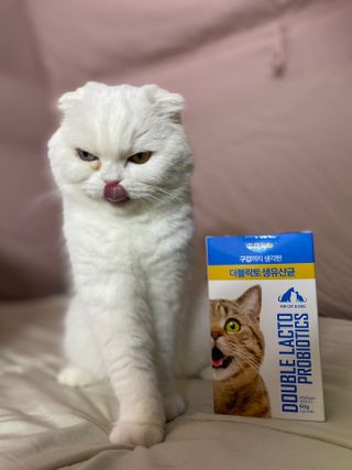 씨디랩 장 건강과 구강 건강을 한 번에 더블락토 강아지 고양이 유산균 — 5점을 준 리뷰어가 2021년 1월 올린 사용 사진