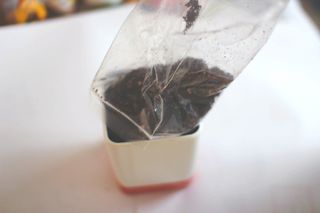 마롱쓰님이 올린 리뷰 사진 2