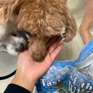 ZiunYang님이 올린 리뷰 사진 4