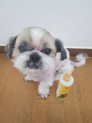 민우다빈이맘님이 올린 리뷰 사진 1