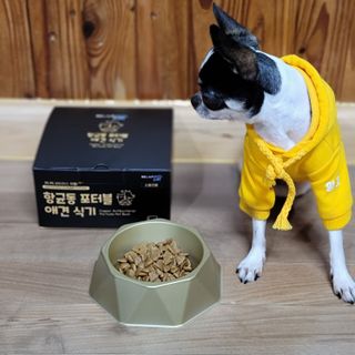 [세싹보울] 세균 싹~ 사라지는 셀앤핏 펫 항균동 애견식기 — 5점을 준 리뷰어가 2021년 6월 올린 사용 사진