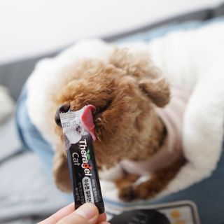 랭쑤님이 올린 리뷰 사진 2