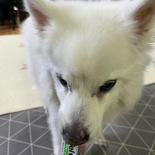 요하님이 올린 리뷰 사진 3