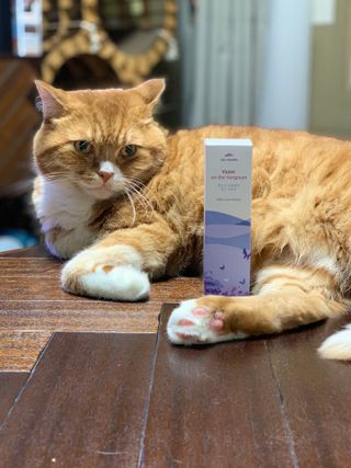 선짱님이 올린 리뷰 사진 3