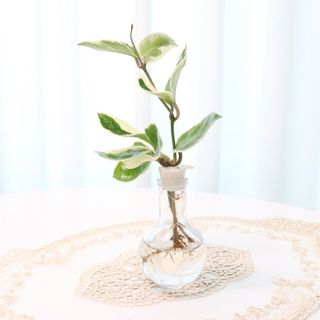엄지콩님이 올린 리뷰 사진 4