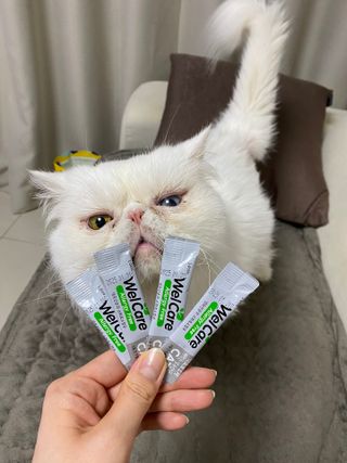 김푸딩님님이 올린 리뷰 사진 2