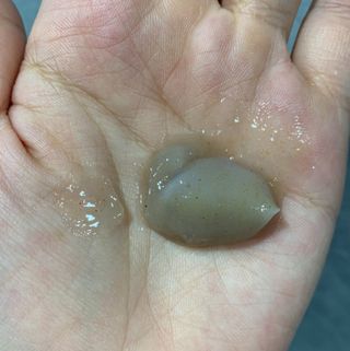양용언님이 올린 리뷰 사진 2