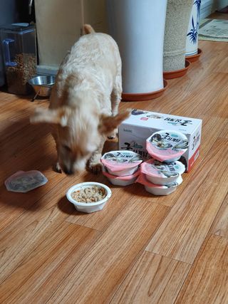 로거찜꽁님이 올린 리뷰 사진 2