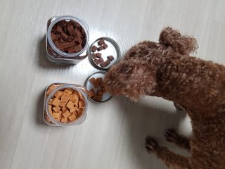 준맘님이 올린 리뷰 사진 3