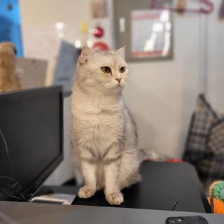 루나님이 올린 리뷰 사진 4